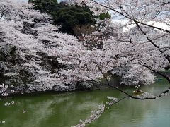  2008年春、「皇居周辺の桜」