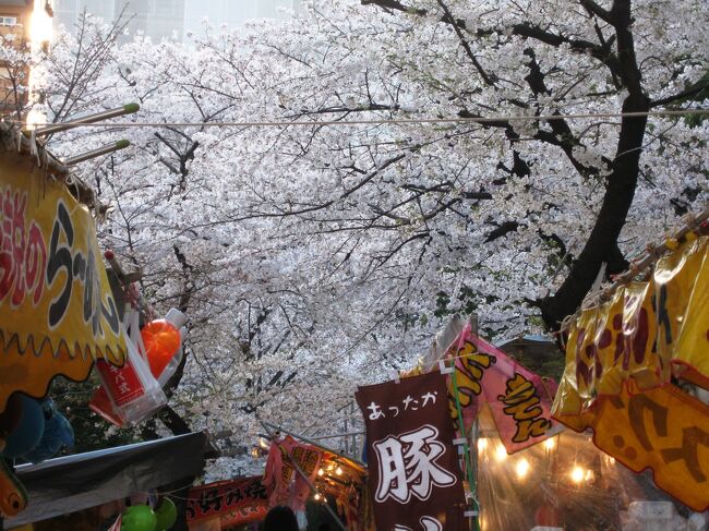 2008春、桜探訪・那古野神社：染井吉野、境内の屋台、緋毛氈の桟敷、赤い桟敷に白い落花
