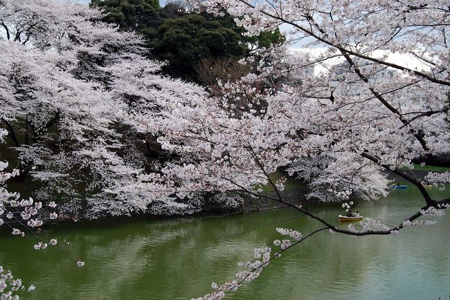 平成２０年３月２９日（土）晴天のこの日、満開の桜を見に皇居周辺を散策しました。<br />東京の代表的なお花見スポットは土曜日でしたし、もの凄い人出で、桜を見ながら何kmだろう？<br />九段下から赤坂まで、ずい分歩きました。