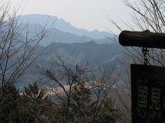 春爛漫、秩父観桜ハイキング?若獅子神社遊歩道～国見の広場