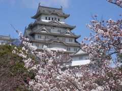 姫路　姫路城の桜