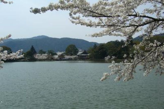 京都名庭１００選 ４ 桜めぐり１ 大覚寺 祇王寺 京都の旅行記 ブログ By Bachさん フォートラベル