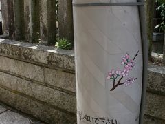 見ごろはまだまだ、吉野千本桜。