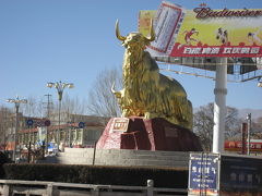 2007年末年始に行ってきました。チベット?（ラサ市内?デプン寺、ノルブリンカ編）
