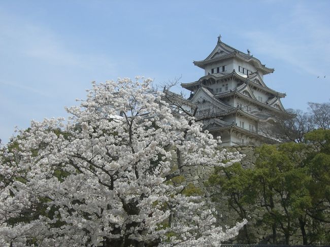 会社の同僚たちと姫路城へのお花見バスツアーへ参加してきました。<br /><br />天気は雲１つない晴天、そして桜は満開で絶好のお花見日和となりました(＞▽＜)。