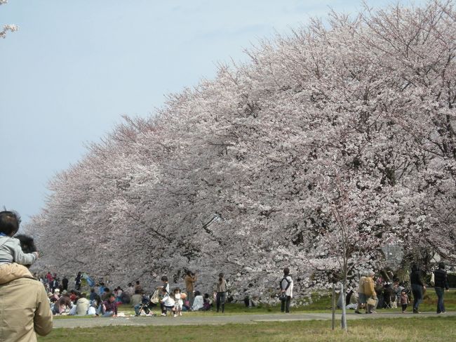 <br />一年に2日　印刷局が一般開放されます<br />桜の時期に。。<br /><br />印刷局とは。。<br />「日本銀行券の製造及び日本銀行券その他諸証券類等の用紙の製造」<br /><br /><br /><br /><br /><br />