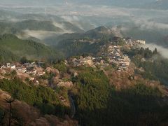 さくらの国の桜の名所　吉野山を歩いて。