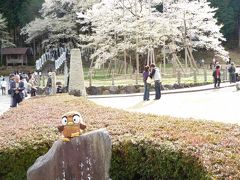 フク丸、モレラ岐阜と淡墨桜を見に行く