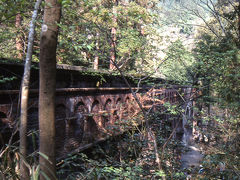 春の京都と餘部鉄橋・1