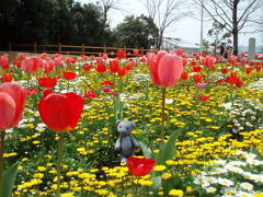 花めぐり（阿東町とやまぐちフラワーランド）