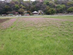 原当麻へ春のさんぽ