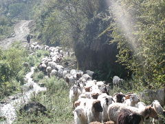 憧れのネパールヒマラヤトレッキング・・・?長閑な村々を