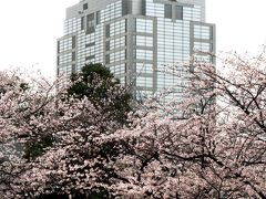 孤愁の千葉城・冷雨の猪鼻公園　☆別れのとき・千葉で