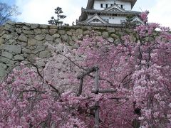 これぞ天下の姫路城　　特別公開　乾小天守　　　姫路紀行《2》