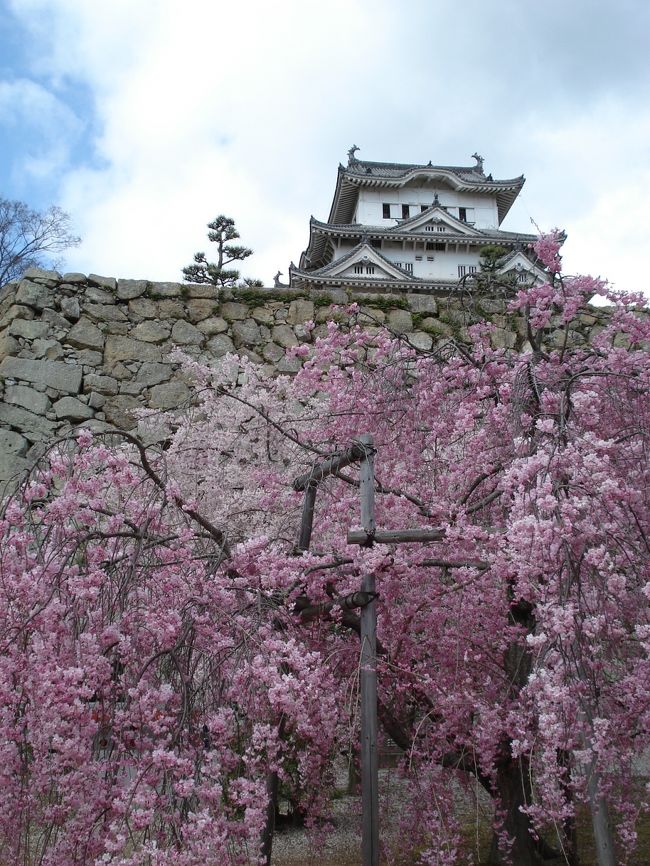 姫路城は外観の美しさにも感動しましたが、城内に入るまでに<br /><br />いくつもの門を通り抜けるその道のりに魅力を感じました。<br /><br />春は白壁とそれを覆うような桜のトンネルが何とも風情があり<br /><br />何百年も前の人々も同じ景色を見ていたと思うとその歴史的<br /><br />価値の重みを感じずにはいられません。<br /><br />今回、特別に乾小天守閣も拝観する事ができ間近に見上げた<br /><br />大天守閣の雄々しさは圧巻☆<br /><br />すっかり姫路城のとりこになってしまいました。<br /><br /><br /><br /><br />◆ 世界遺産 姫路城 ◆<br /> <br />姫路城は法隆寺とともに1993年12月、日本で初めて世界文化遺産に登録され<br />日本に現存する城の中でも世界的に高い評価を受けています。<br /><br />連立式天守をはじめとする独特の建築構造と白鷺城とも呼ばれる美しい形容、<br />要塞として精巧な意匠と工夫の凝らされた巧みな機能、そして城全体がよく<br />保存され、内曲輪の城郭建築がほぼ完全に当時の様式を伝えています。<br /><br />《姫路城大図鑑》 http://www.city.himeji.lg.jp/guide/castle/