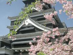 熊本城の桜に間に合いました