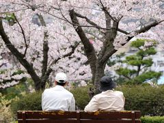 桜・日本百選　日立市