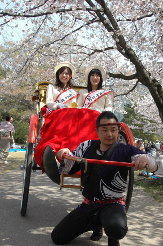 各務原市民公園で、各務原市桜まつりに出かけてきました。<br />新境川堤「百十郎桜」の名前で親しまれている<br />ソメイヨシノ約1,400本の桜が両岸で咲き誇ります。<br />人力車に乗ろう...各務原市民公園（那加門前町)を一周する・<br />2008ミスかがみがはら、さくら、キャロット、コスモの発表<br />残念ながら遭遇できなかったが<br />ミスかかみがはら2007の方々とは，人力車乗り場で会い<br />今年で卒業..いろいろ大変でしたが安堵様子が伺えました。<br />ミスかがみはら.ミスコスモスの方が人力車に乗られ<br />もう一人ミスキャロットの方は.お母さんと一緒に<br />その後..私達が..カメラを持って.<br />「20万人の広場」一周様子トクト御覧アレ<br />各務原市桜まつり データ<br />会場　　新境川堤<br />住所　　岐阜県各務原市<br />交通　　名鉄市民公園前駅から徒歩すぐ <br />駐車場　あり(有料500台)<br />料金　　無料<br />問合せ先　058-383-9925(各務原市役所観光交流課)<br />ドライブ<br />　　東海北陸道岐阜各務原ICから国道21号経由で4km10分<br />---旅行ブログ第73回--------------------------------<br />■旅行名：各務原市桜まつり..その2...桜と桜観覧船<br />■ＵＲＬ：http://4travel.jp/traveler/isazi/album/10232975/<br />--------------------------------------------------<br />時間が有りましたら去年の様子です。<br />2007各務原市さくら祭り<br />http://orangestudio.homeip.net/gallery/user.php?userid=27221