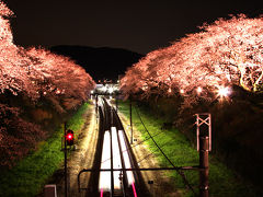 山北駅の夜桜見物