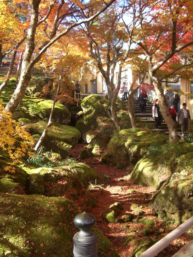 小三会メンバーでの箱根旅行。紅葉が美しかった。