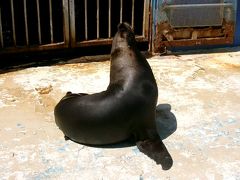 札幌から小樽へ 羊ヶ丘展望台と北海道開拓の村と小樽水族館への～んびり旅行 その2(小樽編)