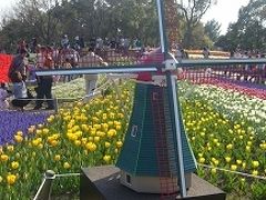 木曽三川公園のチューリップまつり