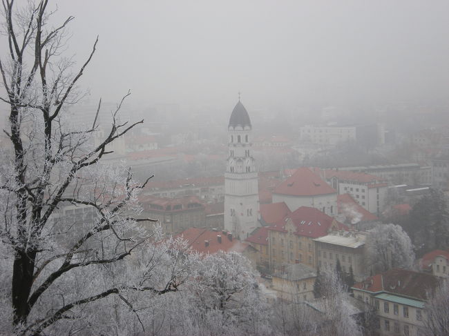 12月21日の朝、クロアチアのザグレブに着いた際、あまりにも寒かったから、そのままスロヴェニアへ脱出。<br /><br />当初、この国に来る予定はなかった。<br /><br />首都のリュブリャナでは、偶然知り合った韓国人旅行者と一緒にホステルを探し、観光へ。<br /><br />第二次世界大戦について熱く語るスロヴェニア人の老人の話を聞き、その韓国人と色々と議論した。<br /><br />首都のリュブリャナは、雪深い小さな町でした。