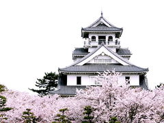 豊公園のお城と桜を