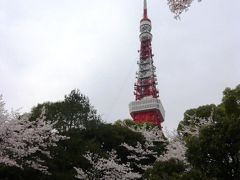東京お花見名所を１日でめぐる満開プラン『東京桜１０景めぐり』