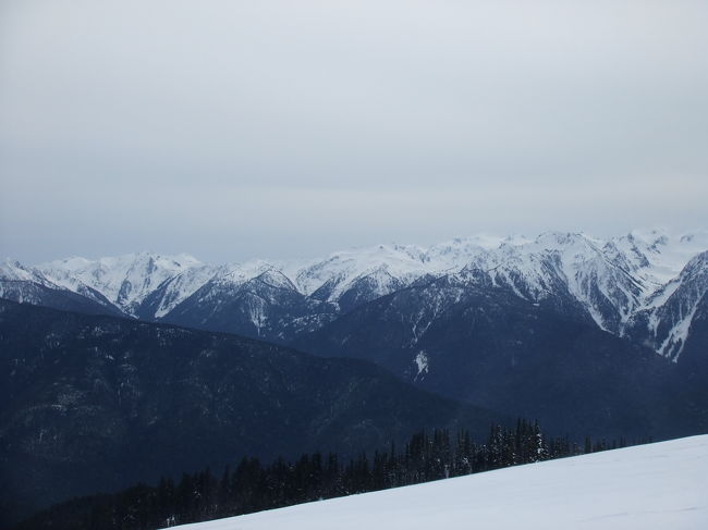 冬のHurricane Ridge。<br />冬のHoh Rain Forest。<br />冬のビーチ。<br /><br />また違った景色を見ることができました。