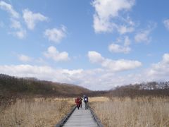 4月13日　釧路湿原：春を感じに行こう
