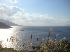 神によばれて屋久島へ?　～白谷雲水峡～　