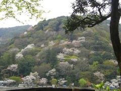 嵐山の桜を愛でて、蕎麦を食す