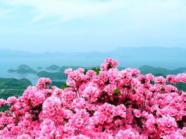 西海国立公園は長串山のつつじ祭り 九十九島 田平周辺 長崎県 の旅行記 ブログ By Saikai99さん フォートラベル