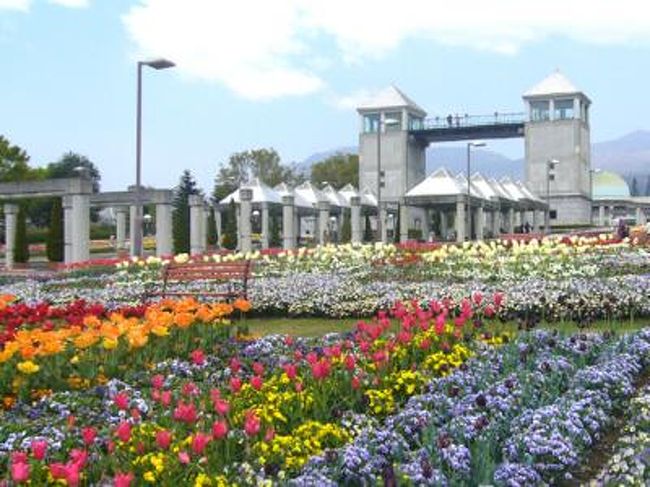 ぐんまフラワーパークはチューリップがいっぱい 前橋 群馬県 の旅行記 ブログ By くうさん フォートラベル