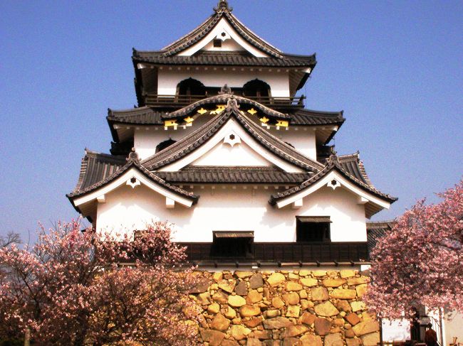 彦根城（ひこねじょう）は、滋賀県彦根市金亀町にあるお城です。<br />日本に現存する12ヶ所の天守を持つ城郭の一つです。<br />さらにその中でも、国宝にしていされているのは、この彦根城、姫路城、松本城、犬山城の4ヶ所しかない貴重なお城なのです。<br />慶長5年（1600年）の関ヶ原の合戦で家康率いる東軍が勝利すると、石田三成に替わり、井伊直政が佐和山城主となり、ここに彦根藩の基礎が築かれたそうです。<br />佐和山城に替わる新たな城郭の建設という彼の夢は、その息子・直継と直孝によって引き継がれ、幕府の全面的な協力のもと、慶長9年（1604年）から彦根城の築城が開始され、慶長12年（1607年）頃には天守が完成したとされています。