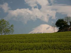 富士山と茶畑