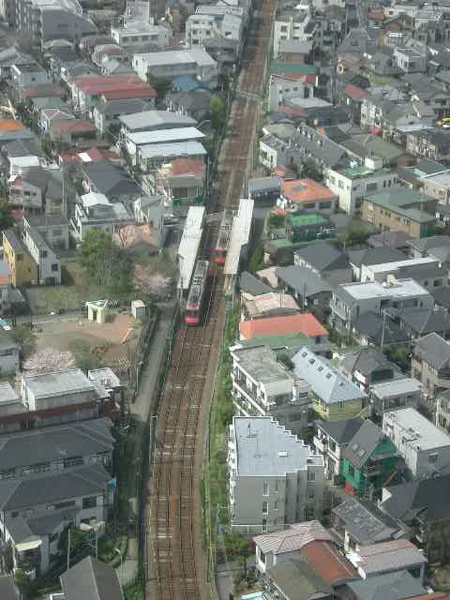 味気の無い超高層ビルばかりになってしまった東京で、開発に遅れをとった三軒茶屋近辺は、逆にクラッシックな東京が残っています。キャロットタワーに上って、往時の東京を偲びました。