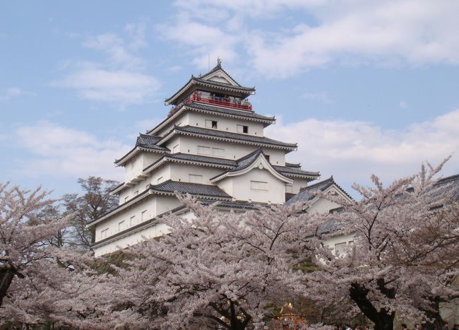 福島県会津若松市。戊辰戦争で有名です。新潟県五泉市のチューリップ見学の帰りに見学しました。超満開の桜！昨年秋に来たばかりです。雪が降る中をフランスから来た方を案内しました。雪が降っていました。今、フランスの桜は咲いているでしょうか？会津にもやっと春が来ました。東京と２週間以上遅れています。いつ見ても城・桜は絵になります。遠くに雪の山々は格別です。