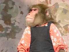2008年4月／根津・谷中～根津神社のつつじ祭りで猿回しに出会い、ネコが住む下町を散策～