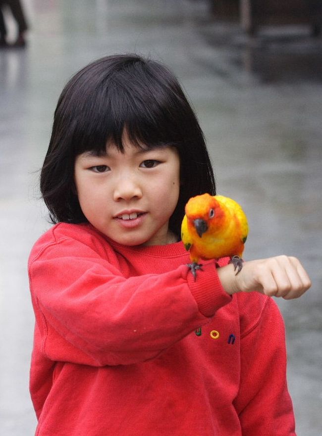 掛川花鳥園