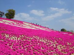 2008芝桜まつり！花夢の里ロクタン