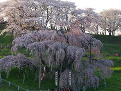 家族でお花見ツアー２００８ 後編