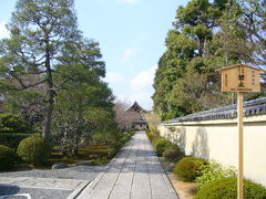 臨済宗大徳寺派の大本山龍寶山