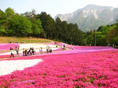 2008晩春　羊山公園　芝桜の丘