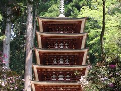 GWの奈良散策：新緑の室生寺