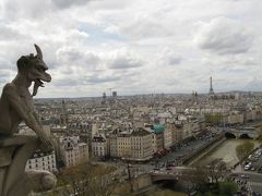 ノートルダム寺院”塔からの街なみ” （フランス世界遺産めぐり５日目③）