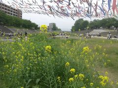 屋根よ～り～高～い～こいのぼり～♪