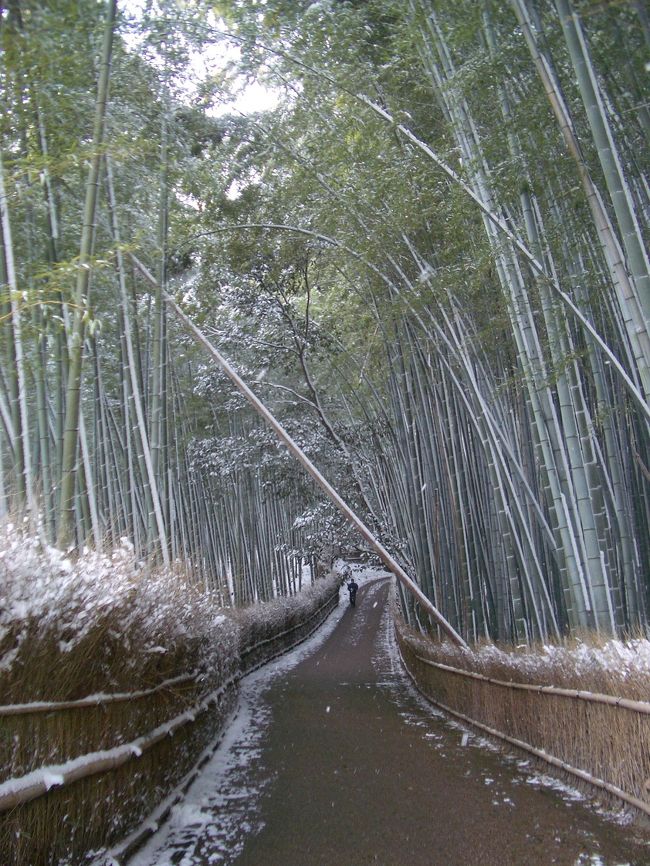 1日目は午後からの観光だったので、京都駅付近を歩いただけでした。<br /><br />2日目は朝から嵐山に行き、雪の中を歩き回りました。