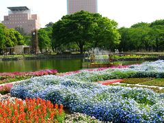 花緑楽祭-1　前橋公園・なごみの庭　☆立体花壇・しあわせ花壇など